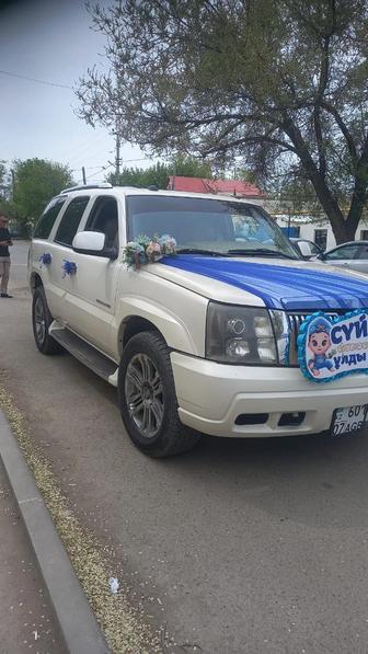 Сдается в аренду машина cadillac escalade на сырга салу, выписку из роддома