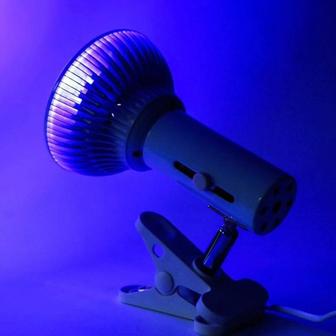 Сдаем в аренду фотолампу от желтухи у новорожденных.