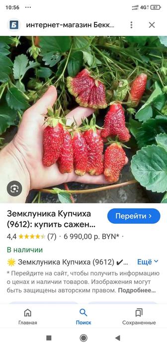 Кусты малины, на выбор, на продажу.