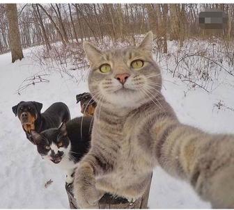 Сүрет саламын. Рисую.