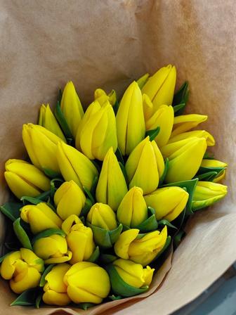 Тюльпаны оптом с теплицы !