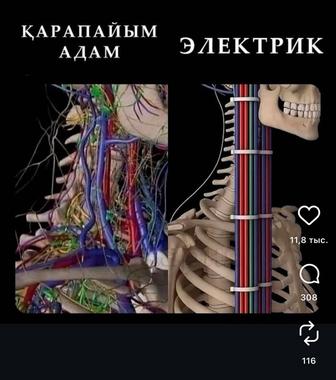 Услуга электрика