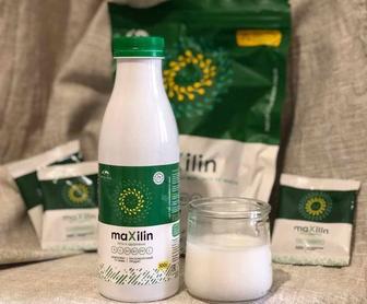 Максидин пробиотик