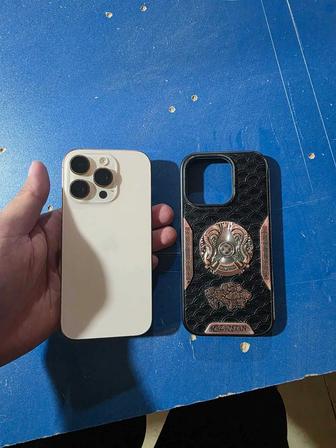 iPhone 16 Pro