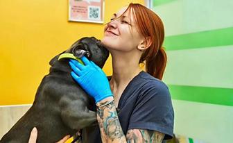 Ветеринар Выезд на Дом