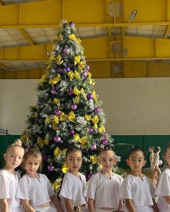 Ёлку в аренду