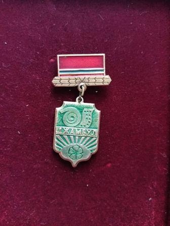 Подвес значек Джамбул КазССР зелёного цвета геральдика редкий