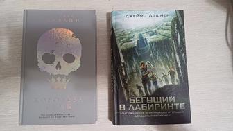 Книги Бегущий в Лабиринте и Королева Тьмы