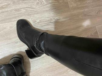 Сапоги новый