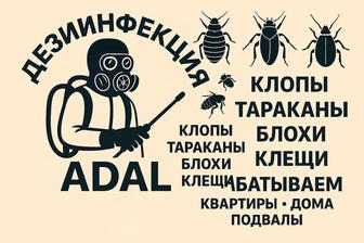 Дезинфекция