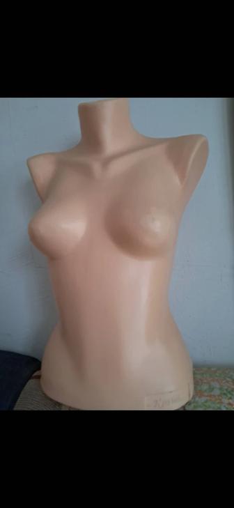 Женские манекены торсы