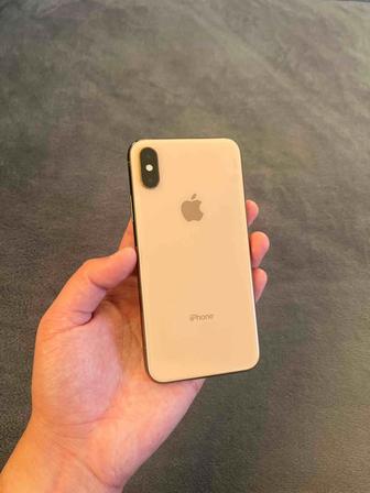 iPhone XS 256gb 100%