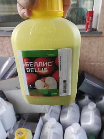 Беллис