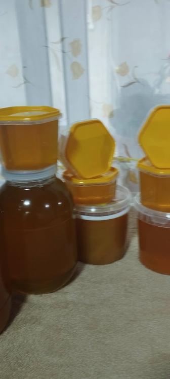 Мед майский,продам
