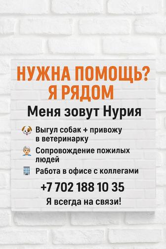 Услугивыгул собак
