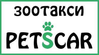 Зоотакси Перевозка домашних животных