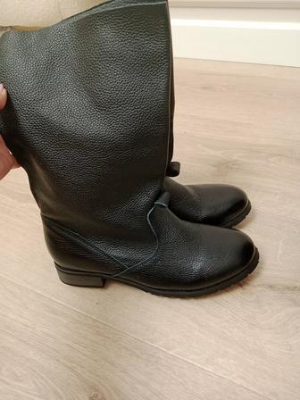 Сапоги демисезонные