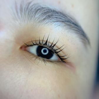 Обучение ламинирование ресниц и бровей