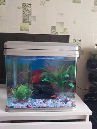 Аквариум 25-30 л рыбками , корм