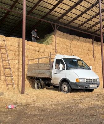 Газель доставка