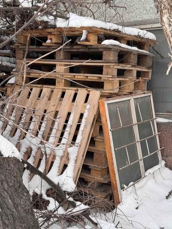 Продам поддоны