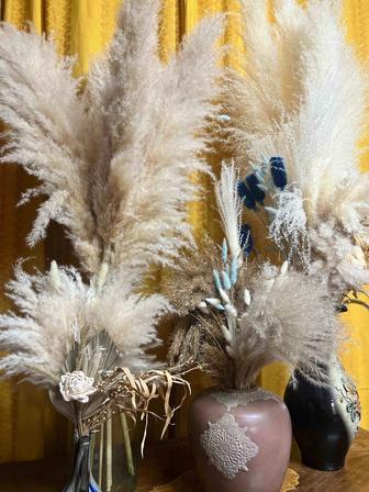 Продам сухоцвет весь что на фото