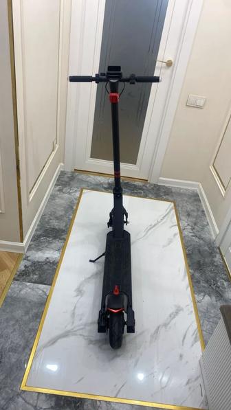 Самокат tribe