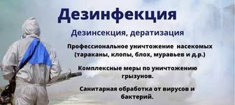 Дезинфекция Дезинсекция Дератизация