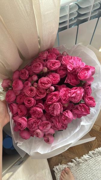 Продаю цветы