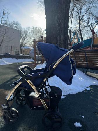 Коляска Adamex Quatro Monza