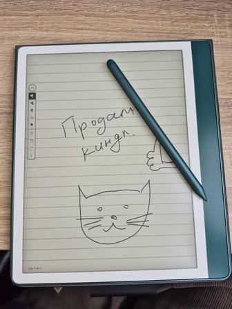 Kindle scribe 64gb премиум зеленый с чехлом.