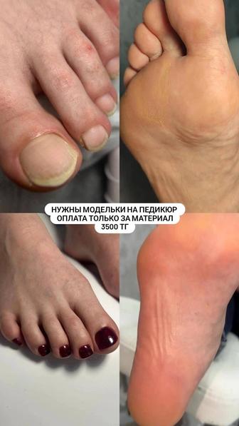 Нужны модели