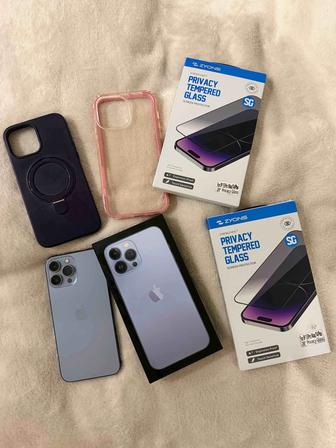 iPhone 13 Pro Max (256G)