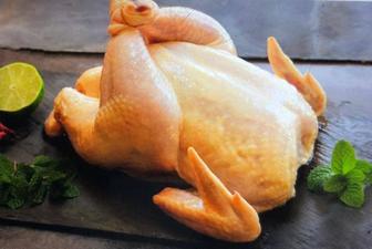 Куры бройлеров