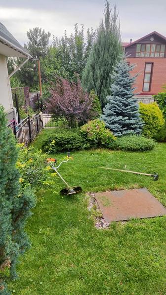 Стрижка газона,покос травы,прополка.