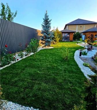 Газон жасаймыз автополив тал егу көгаландыру бұтау ёлка гүл егу озеленение