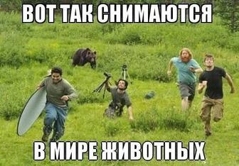 Профессиональная съемка,Свадьбы,Юбилеи