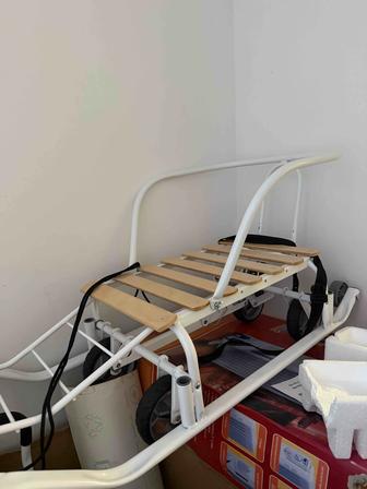 Санки, Шана