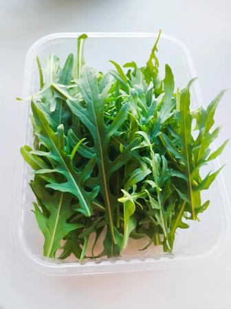 Продам рукколу (цена за 100 гр)