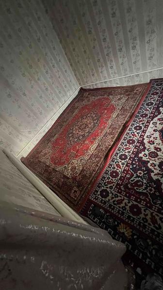 палас