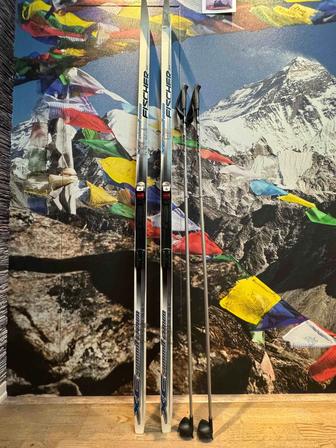 Палки лыжные