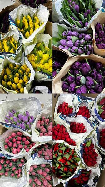 Косметика dior este Lauder