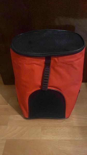 Продаю переноску-рюкзак домашних животных (котята)