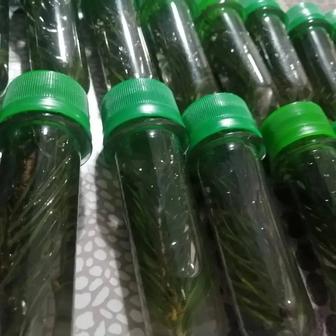 Масло пихтовое