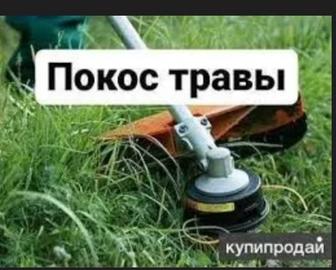 Покос травы, спил деревьев, дрова Уральск.