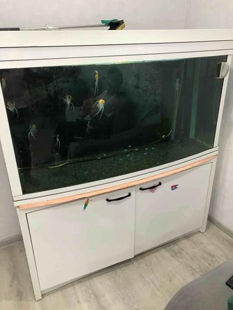 Продам аквариум 350л