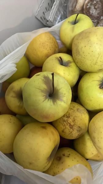 Яблоки сорта Голден делишес