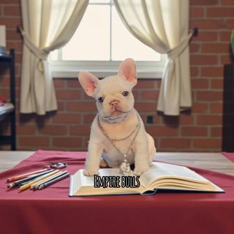 Продаются щенки французского бульдога в редких окрасах