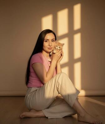 Передержка кошек