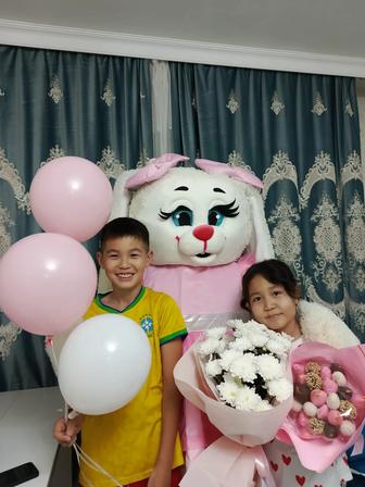 Прокат мишки